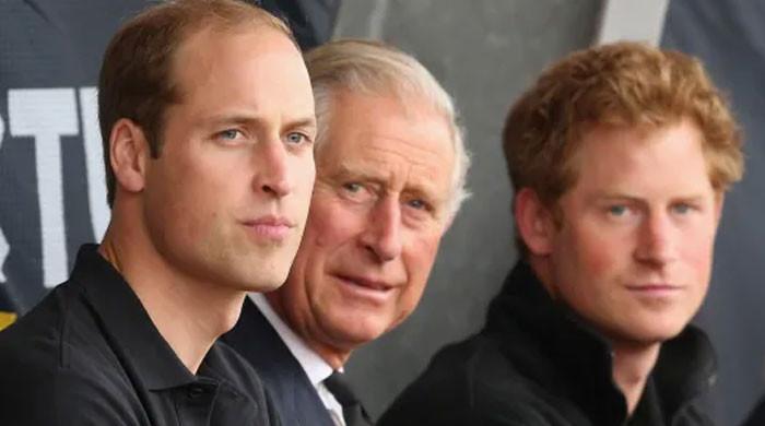 King Charles pushes Prince William to take huge step for Prince Harry