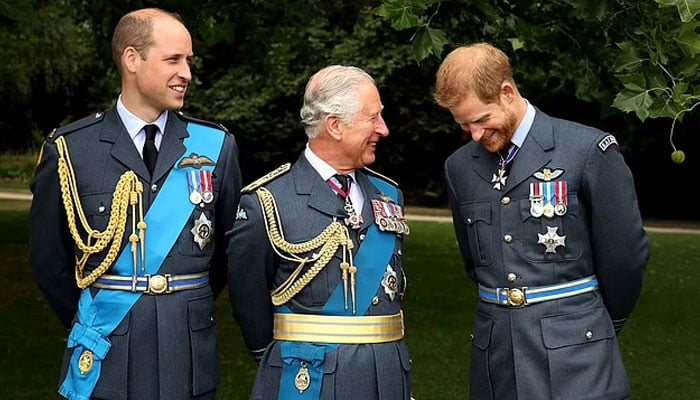 Prince Harry makes major announcement after King Charles, Prince William's olive branch