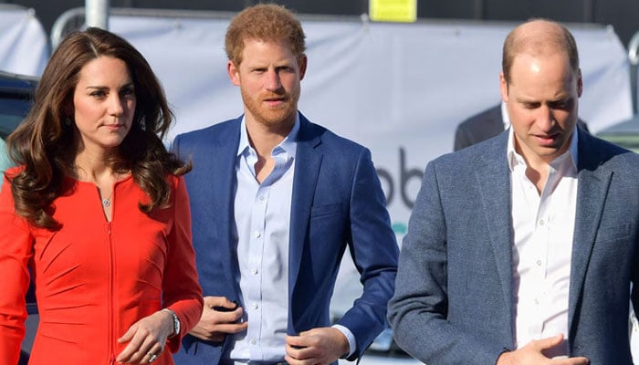 Prince Harry gives befitting response to Prince William over his ‘hollow’ gesture