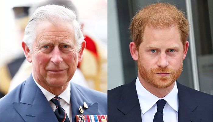 Prince Harry, King Charles reunion off the cards amid monarch’s packed schedule