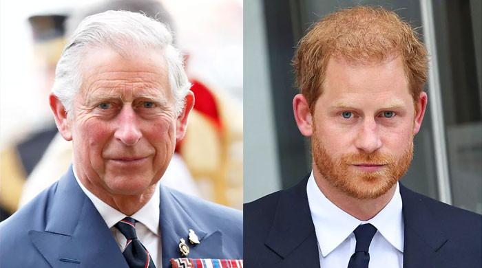 Prince Harry, King Charles reunion off the cards amid monarch’s packed schedule