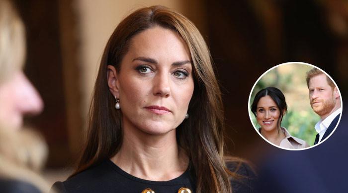 Kate Middleton backs Prince Harry amid disdain for Meghan Markle