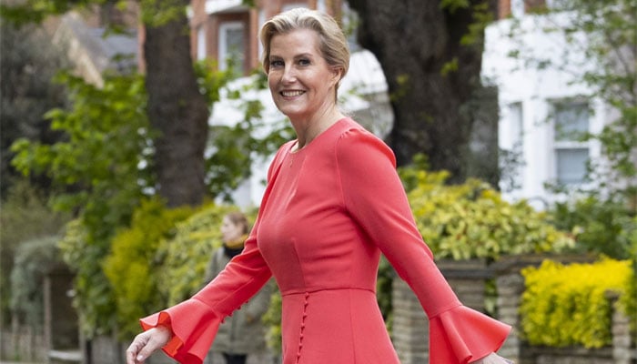 Buckingham Palace reveals Duchess Sophies ambition