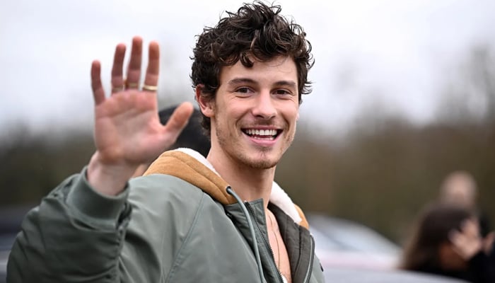 Shawn Mendes turns head with latest beachy outing