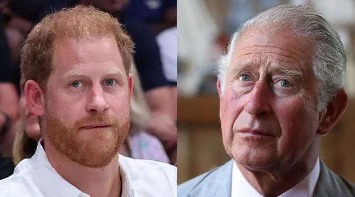 King Charles, Prince Harry receive warning amid reunion rumours