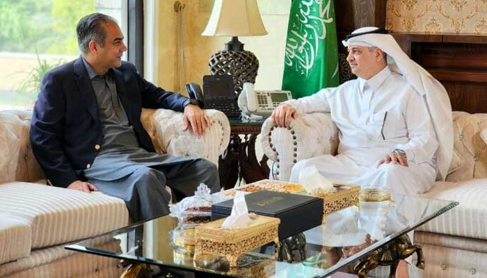 Federal Minister for Interior Mohsin Naqvi in a meeting with Ambassador of Saudi Arabia Nawaf Bin Said Ahmed Al-Maliki in Islamabad on September 23, 2024. — PID