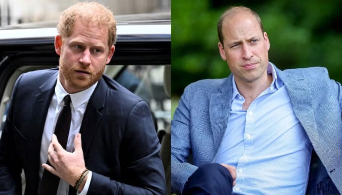 Prince Harry, Prince William put Royal feud aside for noble cause