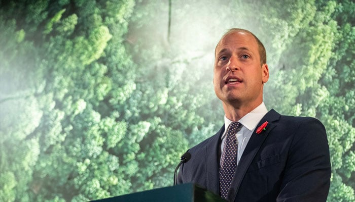 Prince William founded The Earthshot Prize in 2020