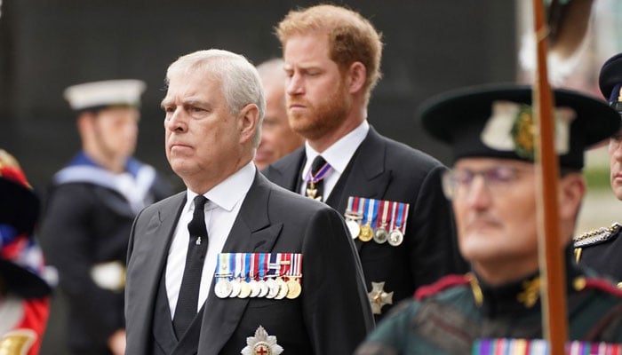 Royal aide warns Prince Harry to avoid making same mistakes as Prince Andrew