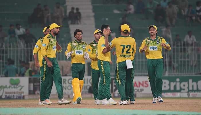 Lions teammates celebrate a wicket during Eliminator 1 match between Lions and Stallions at Champions One-Day Cup in Faisalabads Iqbal Stadium on September 25, 2024. — PCB