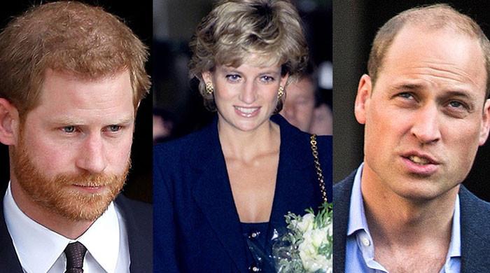 Princess Diana working ‘behind scenes’ to help William, Harry