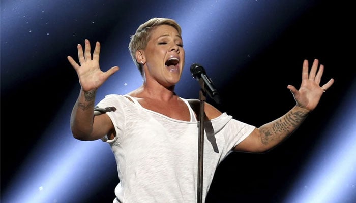 Pink slams deleted X theory rumour amid Diddy arrest