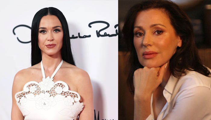 Katy Perrys surprise collaboration with Tina Arena sparks controversy