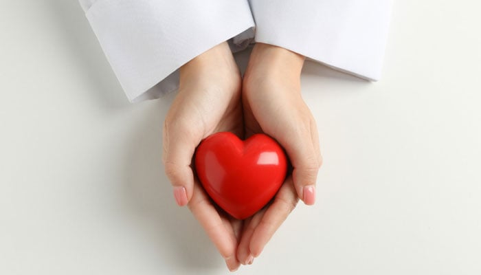 A representational image showing a person holding a heart made of plastic. — Canva