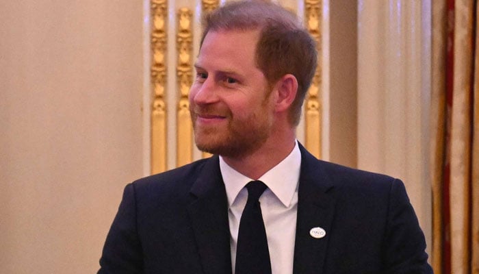 Prince Harry creating a ‘terrible novel