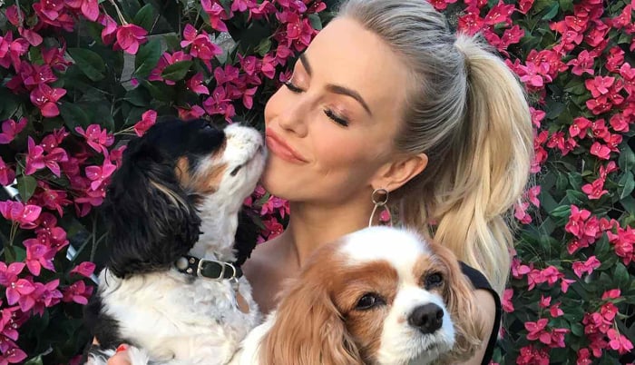 Julianne Hough sends love to dogs Lexi, Harley on fifth death anniversary