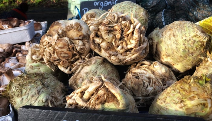 A representational image of organic celeriac at a farmers market in London, England. — Unsplash/File