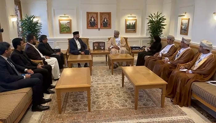 Minister for Overseas Pakistanis and Human Resource Development Chaudhry Salik Hussain (centre-left) meets Oman Minister for Labour Dr Mahad bin Said bin Ali Baowain (centre-right) in Muscat. — Screengrab via Geo News