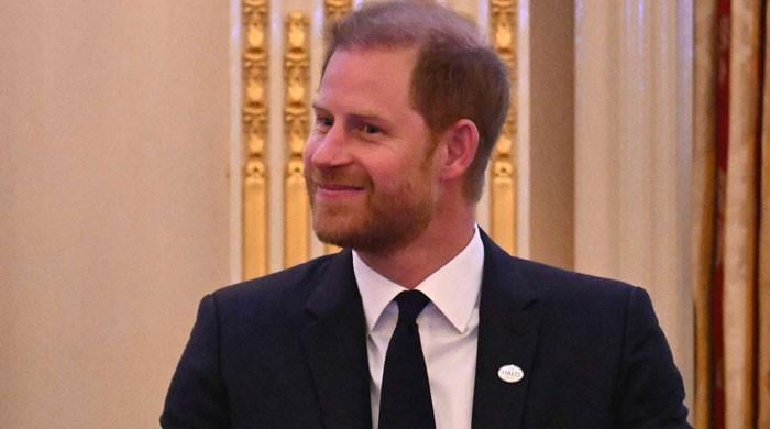 Prince Harry creating a â€ ̃terrible' novel