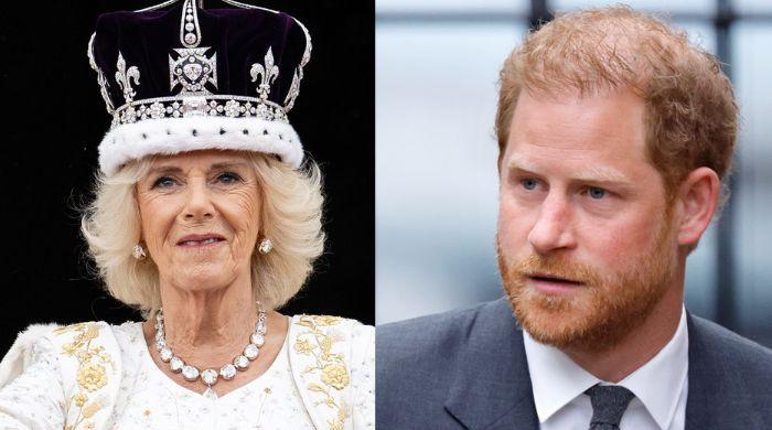 Queen Camilla’s reputation at risk in new ‘pro-Harry’ documentary