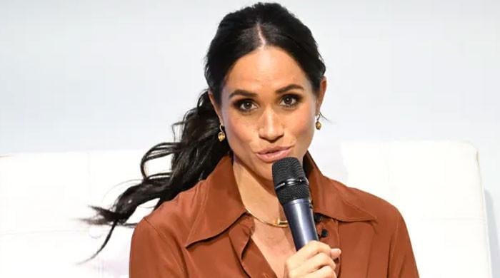 Meghan Markle facing reputational insanity with â€ ̃repugnant' attitude