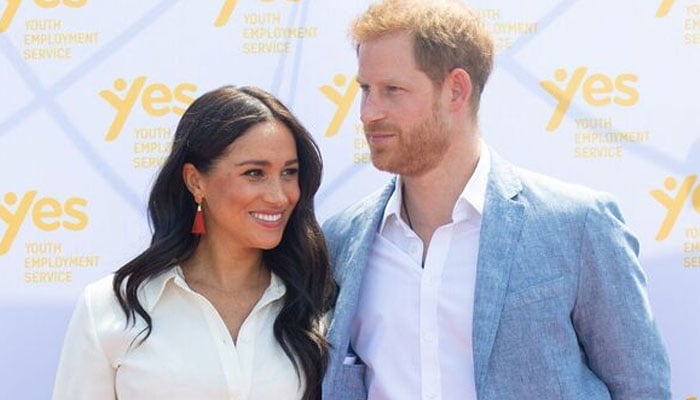 Prince Harry, Meghan Markle surprising new business strategy revealed