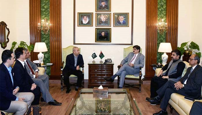 Sindh Chief Minister Syed Murad Ali Shah in meeting with a delegation of Chinese investors, led by Chairman of the Belt and Road Initiative, Wan Xiaowu, held at CM House in Karachi on October 1, 2024. PPI