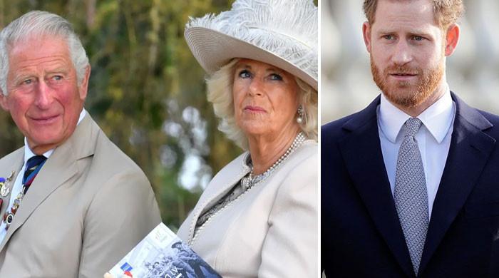 Queen Camilla turns into King Charles’ bodyguard against Prince Harry