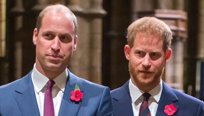 Prince Williams plate too full for Prince Harry reconciliation: Expert