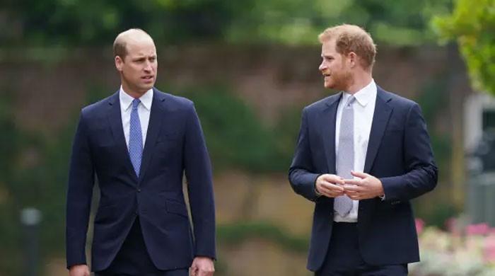 Prince William and Prince Harry’s reunion: Key Royal figure steps in to end feud