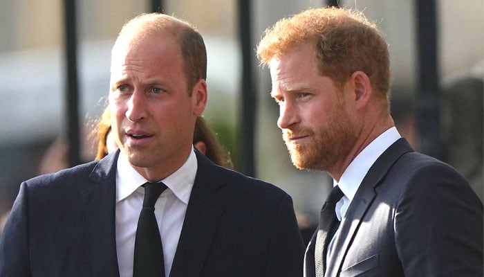 Prince Williams new revelation rubs salt in Prince Harrys royal wounds