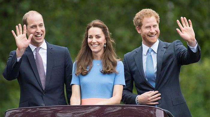 Kate Middleton declares her â€ ̃loyalty' between Prince William, Harry