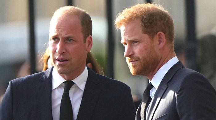 Prince William’s new revelation rubs salt in Prince Harry’s royal wounds