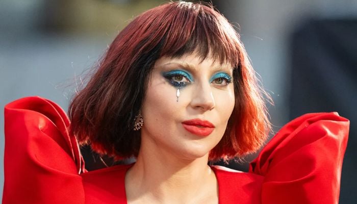 Lady Gaga admits she went through a lot in her career