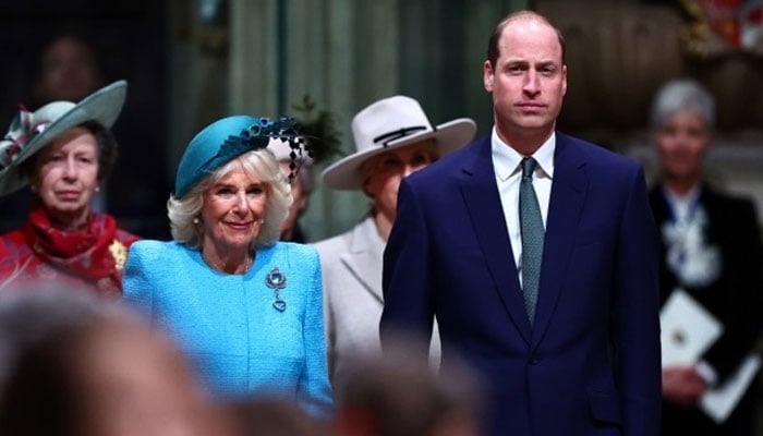 Prince William teams up with Queen Camilla to stop Prince Harry reunion