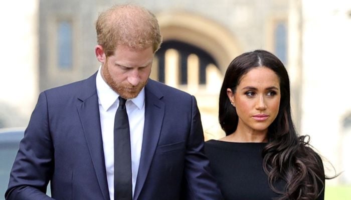 Meghan Markle appears shy and lost without Prince Harry