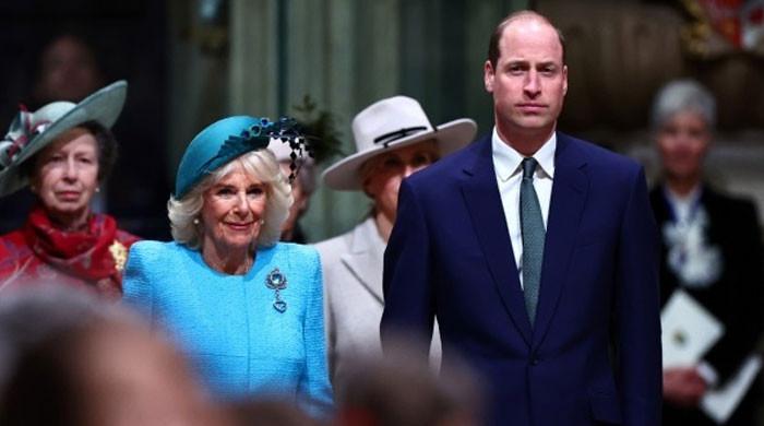 Prince William teams up with Queen Camilla to stop Prince Harry reunion