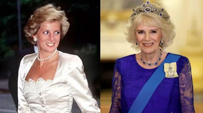 Princess Diana knew Camilla was worthy of ‘recognition'