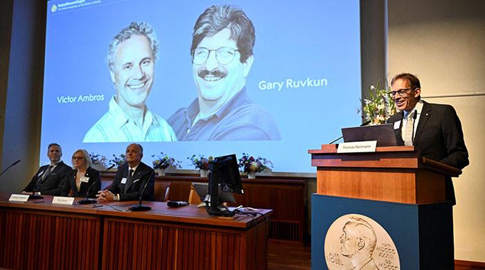 US scientists Ambros and Ruvkun win Nobel prize for medicine