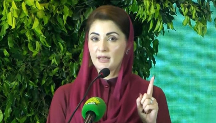 Punjab Chief Minister Maryam Nawaz addresses inaugural ceremony of “CM Climate Leadership Development Internship programme” on October 9, 2024. — Geo News/YouTube/screengrab