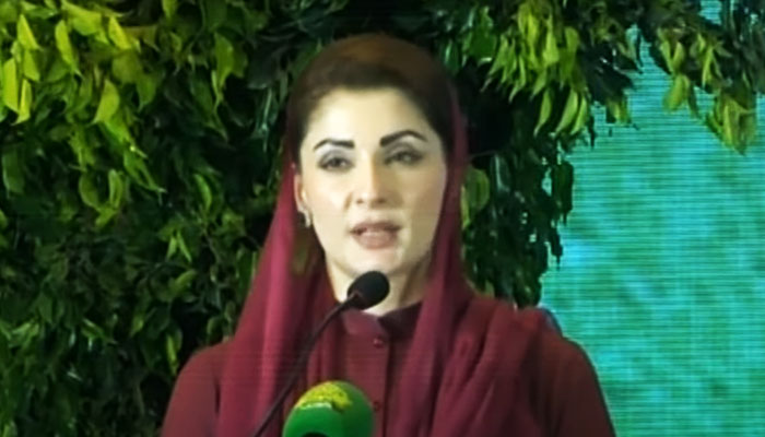 Punjab Chief Minister Maryam Nawaz addresses inaugural ceremony of “CM Climate Leadership Development Internship programme” on October 9, 2024. — Geo News/YouTube/screengrab