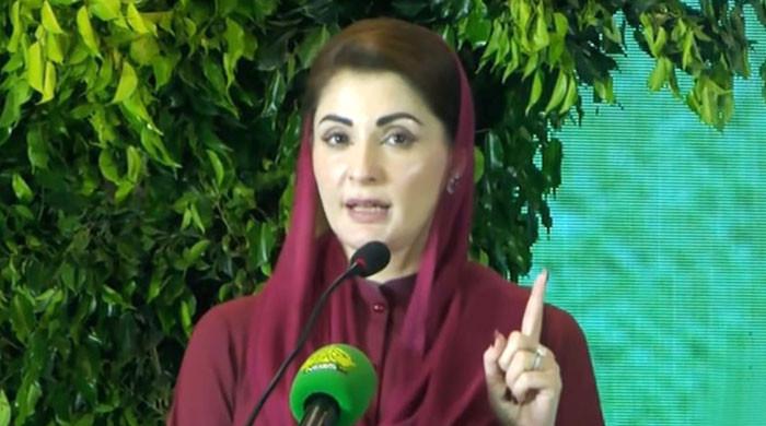 PTI failed to spread ‘political smog’, Maryam mocks opposition’s anti-govt campaign