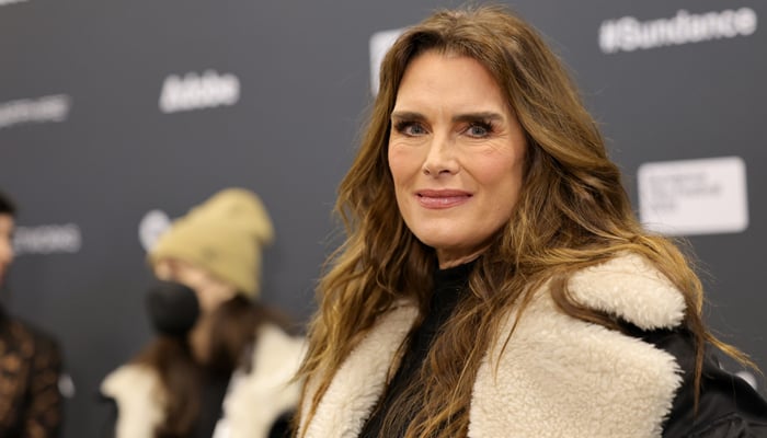 Brooke Shields gets candid about her pet having good taste