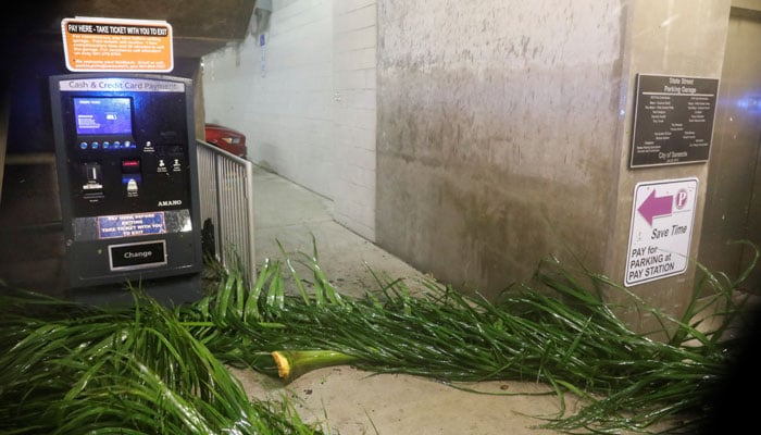 Fallen tree branches lie near a parking garage as Hurricane Milton makes landfall, in Sarasota, Florida, US, October 9, 2024. — Reuters