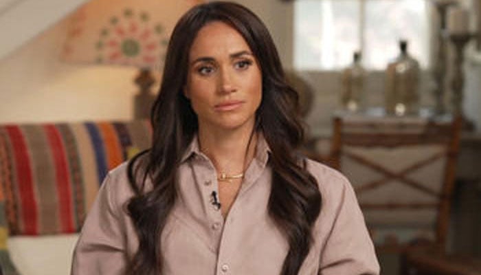 Meghan Markle ‘rash, hasty overnight antics attacked