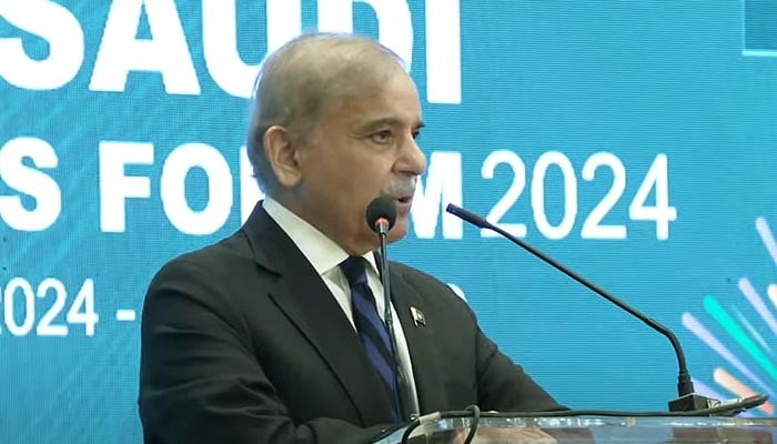 Prime Minister Shehbaz Sharif addressing Saudi Arabias delegation on October 10, 2024. — YouTube screengrab/Geo News Live