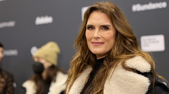 Brooke Shields gets candid about her pet having ‘good taste’