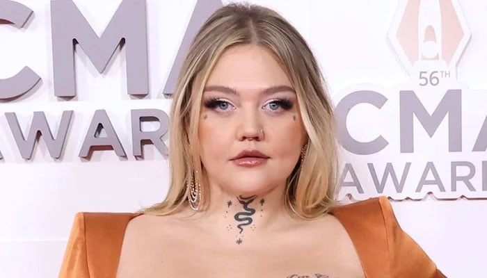 Elle King flaunts her baby bump in new snaps