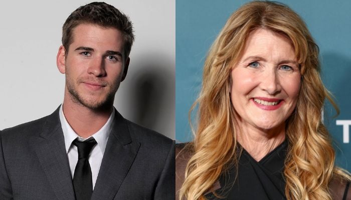 Liam Hemsworth, Laura Dern recall scary day from Lonely Planet set