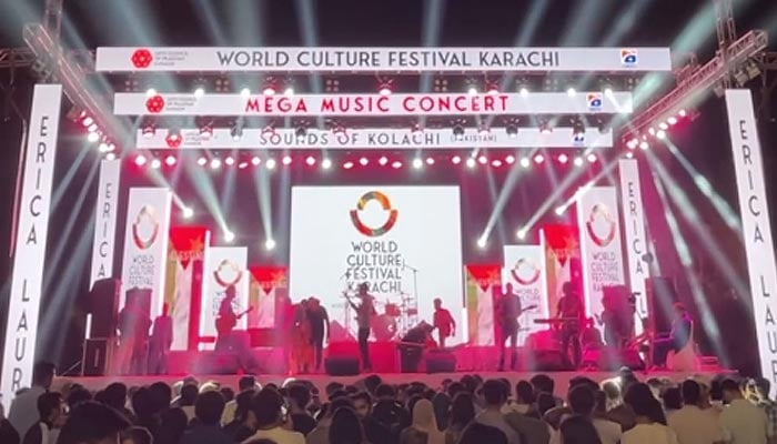 Artist performing at the ongoing World Culture Festival at the Arts Council of Pakistan (APC) in Karachi on October 12, 2024. — Instagram/@acpkhiofficial